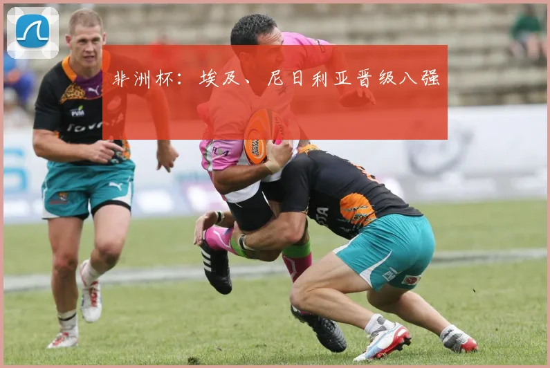 非洲杯：埃及、尼日利亚晋级八强