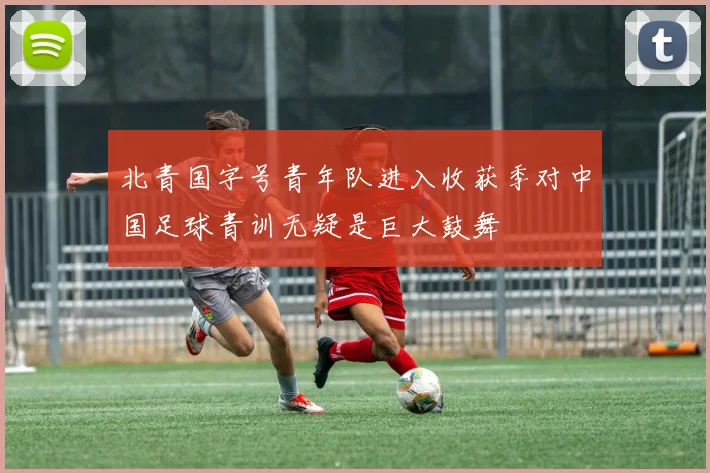 北青国字号青年队进入收获季对中国足球青训无疑是巨大鼓舞
