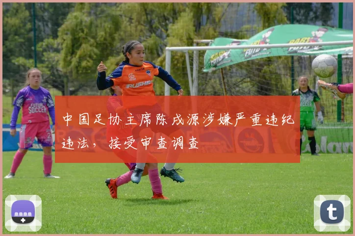 中国足协主席陈戌源涉嫌严重违纪违法，接受审查调查